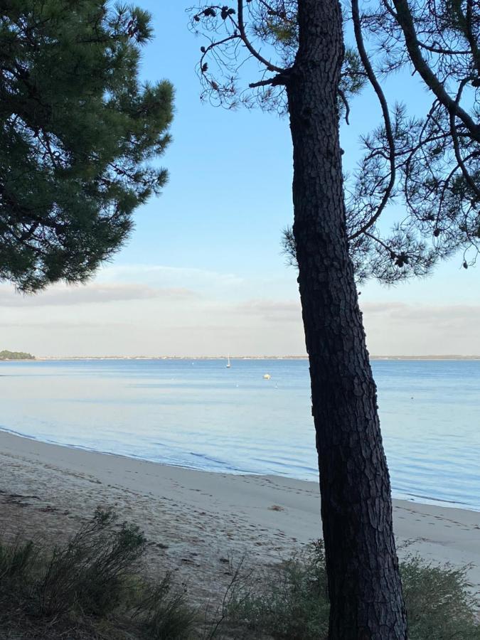 Le Cocon Gite Saint-Trojan-les-Bains Esterno foto